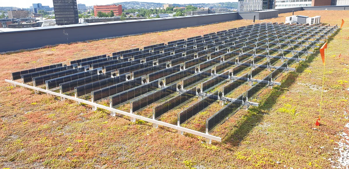 Vertical bifacial solar panels on an Oslo green roof Rows of vertical bifacial solar panels on a green roof in Oslo, Norway